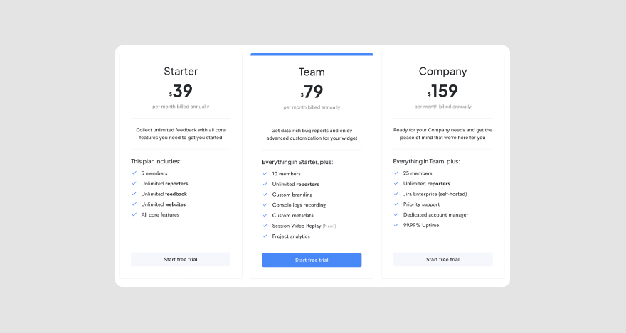 Marker.io's pricing.